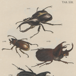 Torren geteld en gekleurd